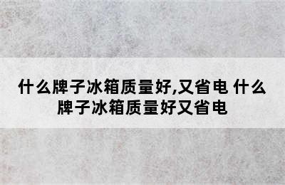 什么牌子冰箱质量好,又省电 什么牌子冰箱质量好又省电